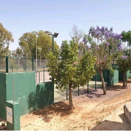 Alojamiento Con Piscina Y Parking En Sevilla La Algaba المظهر الخارجي الصورة